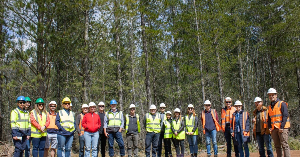 Timber Intent Sustainably grown and certified timber of the future