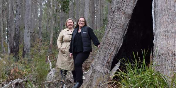 Forico wins climate change and sustainability accolades at international accountancy awards