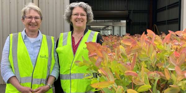 Forico Board welcomes two new high-calibre Tasmanian directors