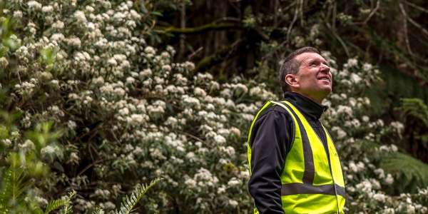 Dedication to sustainable forest management culminates in a Board role with FSC ANZ