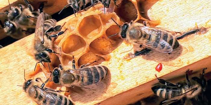 Boba jaglicic Tx A8cg Fnf NQ unsplash