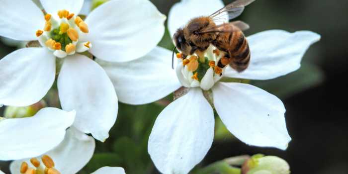 Kunal kalra Xtwj OM Wcs Vs unsplash