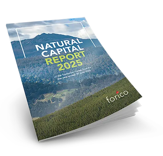 Forico natural capital report mockup 2025 medium