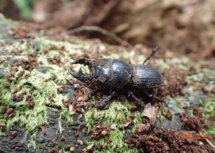 Albertview 281123 98